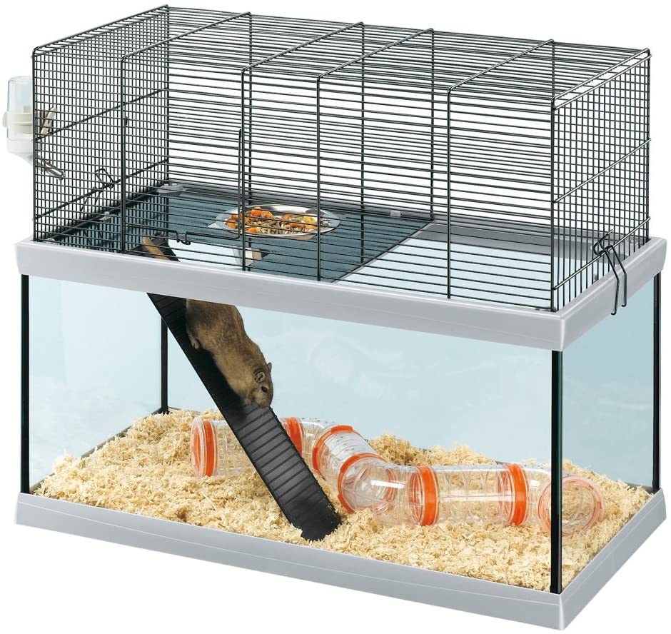  Feplast Jaula de Vidrio para Jerbos Gabry 80, Estructura de Dos Pisos, Accesorios Incluidos, 79 x 30.5 x 51.4 Cm 