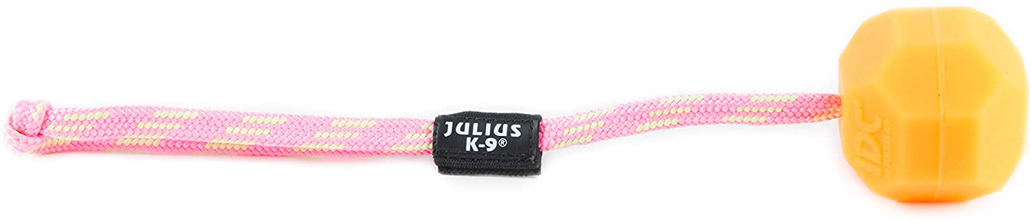  Julius-K9 242-BLL-60-ORW Fluorescens Ball with String Diam.60mm - Smooth, Orange, Soft, Un tamaño 