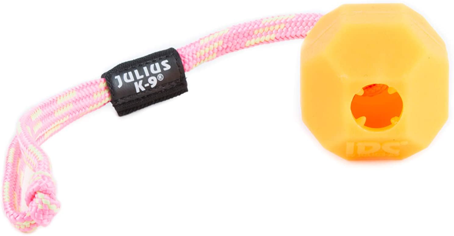  Julius-K9 242-BLL-60-ORW Fluorescens Ball with String Diam.60mm - Smooth, Orange, Soft, Un tamaño 