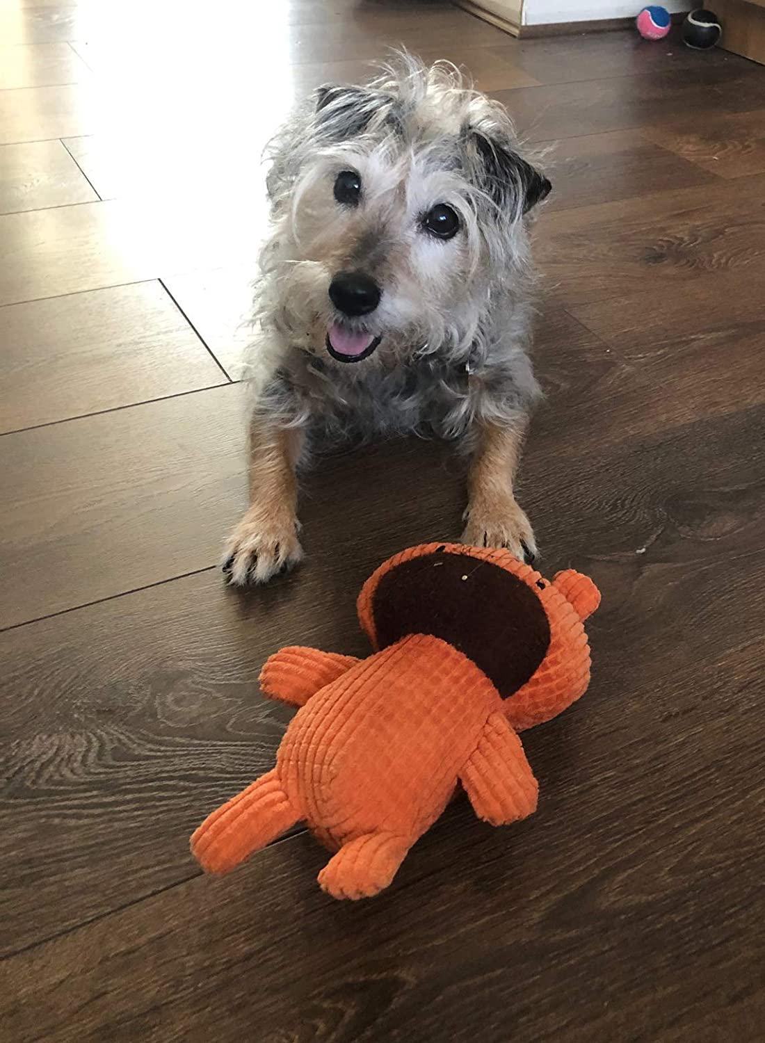  Tugs - Oso de Peluche para Perros y Gatos 