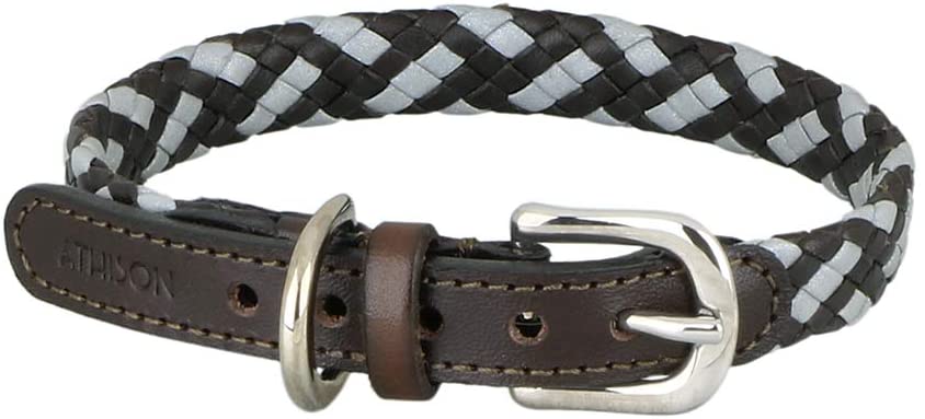  Athison - Juego de Collar y Correa Reflectantes, pequeño para Perros de Talla pequeña y Media, Trenzados en Cuero y Tejido Reflectante, Color marrón Oscuro 
