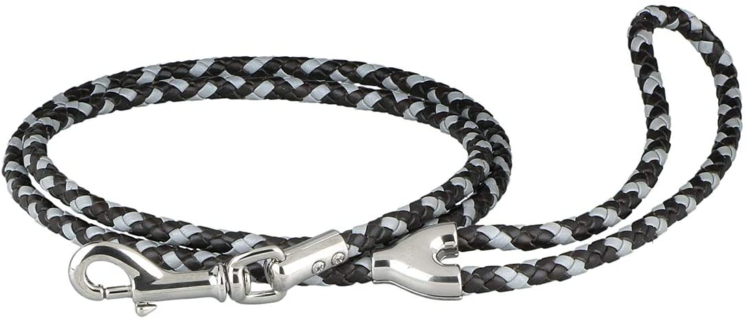  Athison - Juego de Collar y Correa Reflectantes, pequeño para Perros de Talla pequeña y Media, Trenzados en Cuero y Tejido Reflectante, Color marrón Oscuro 
