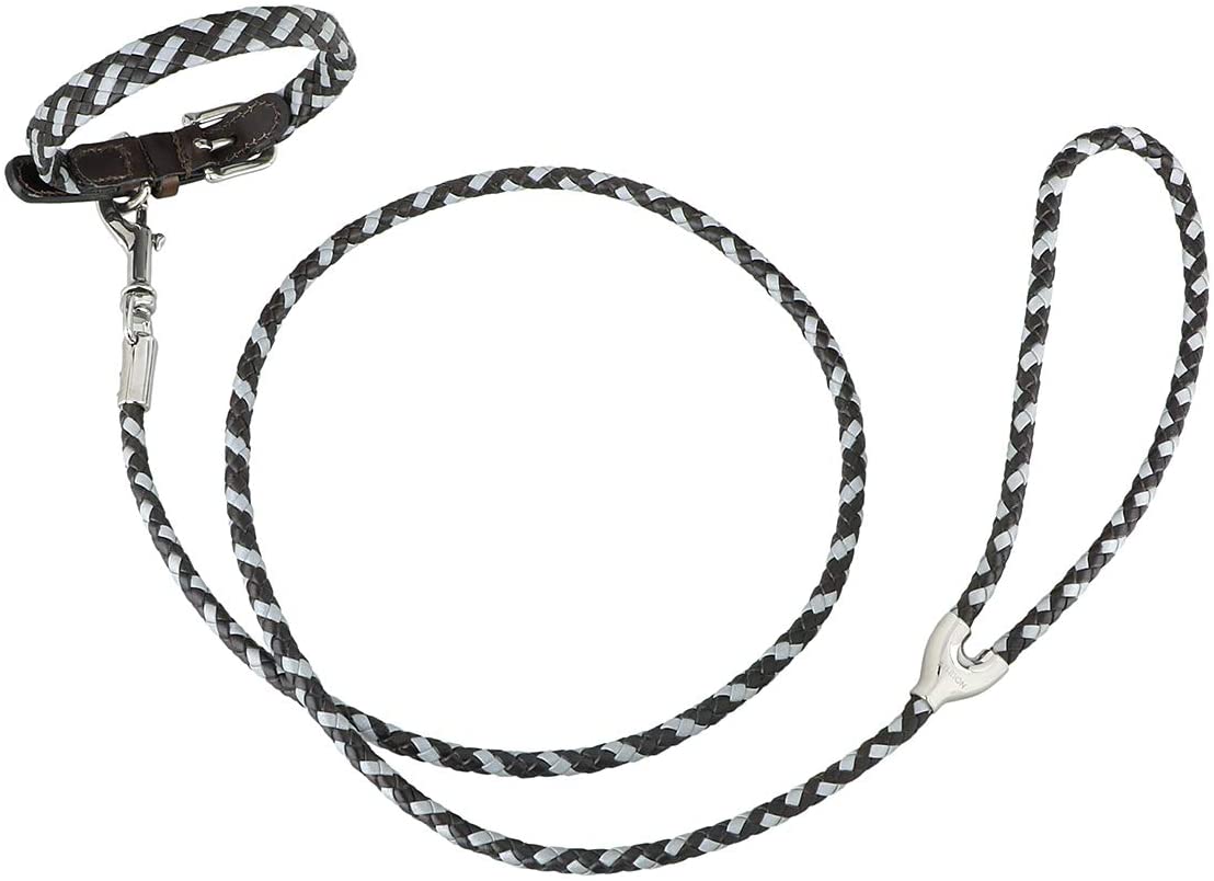  Athison - Juego de Collar y Correa Reflectantes, pequeño para Perros de Talla pequeña y Media, Trenzados en Cuero y Tejido Reflectante, Color marrón Oscuro 