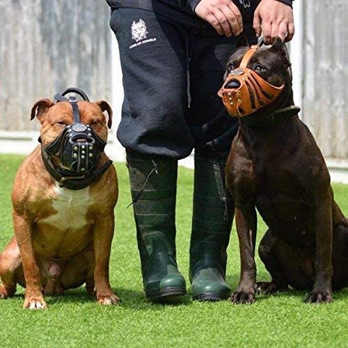  Bestia Bozal de Cuero de Perro Maximus 