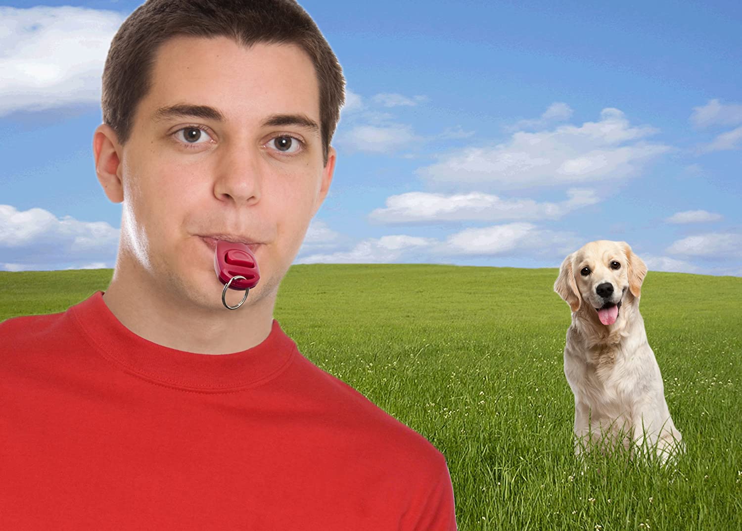  "Clicker 2en1 y silbato para perros" entrenamiento del entrenamiento del perro con clicker clicker perro silbato para perros clicker perro en el color azul NUEVO / marca PRECORN 