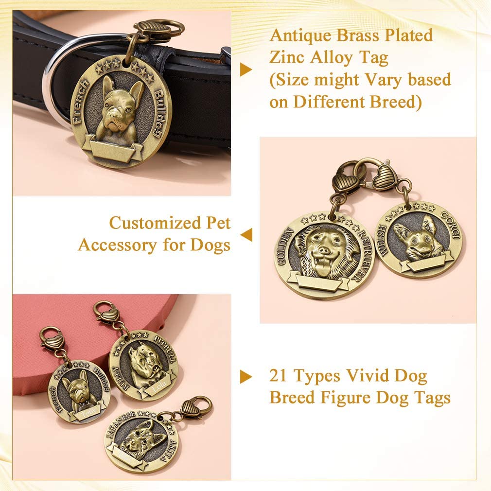  Custom4U Placa de Identidad para Perros Etiquetas Redondas Zinc 3D Relieve Dog Tag Personalizado con Nombres Grabados para Golden Retriever 