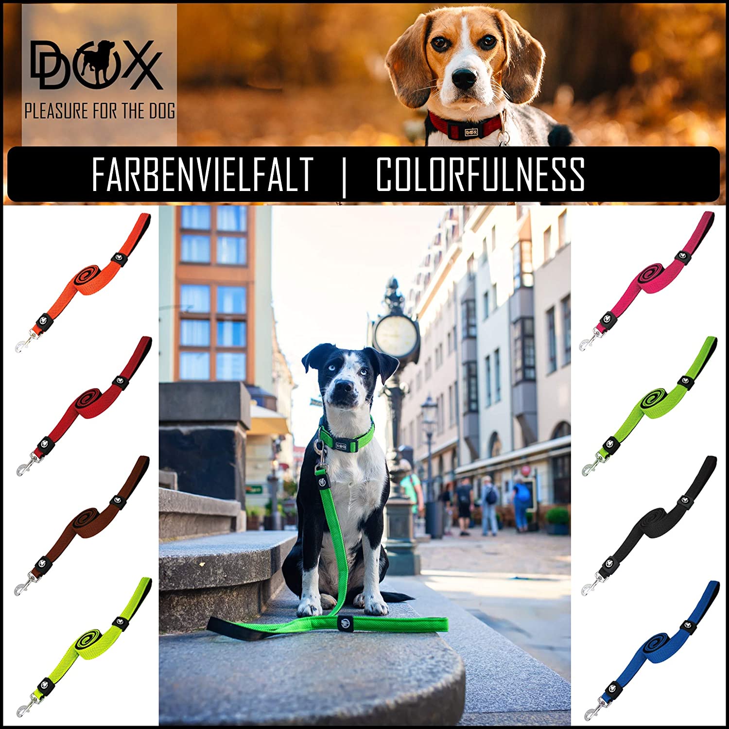  DDOXX Correa Perro Air Mesh, Acolchado, Lazo de Mano, 120 cm | Diferentes Colores & Tamaños | para Perros Pequeño, Mediano y Grande | Accesorios Gato Cachorro | Negro, XS 