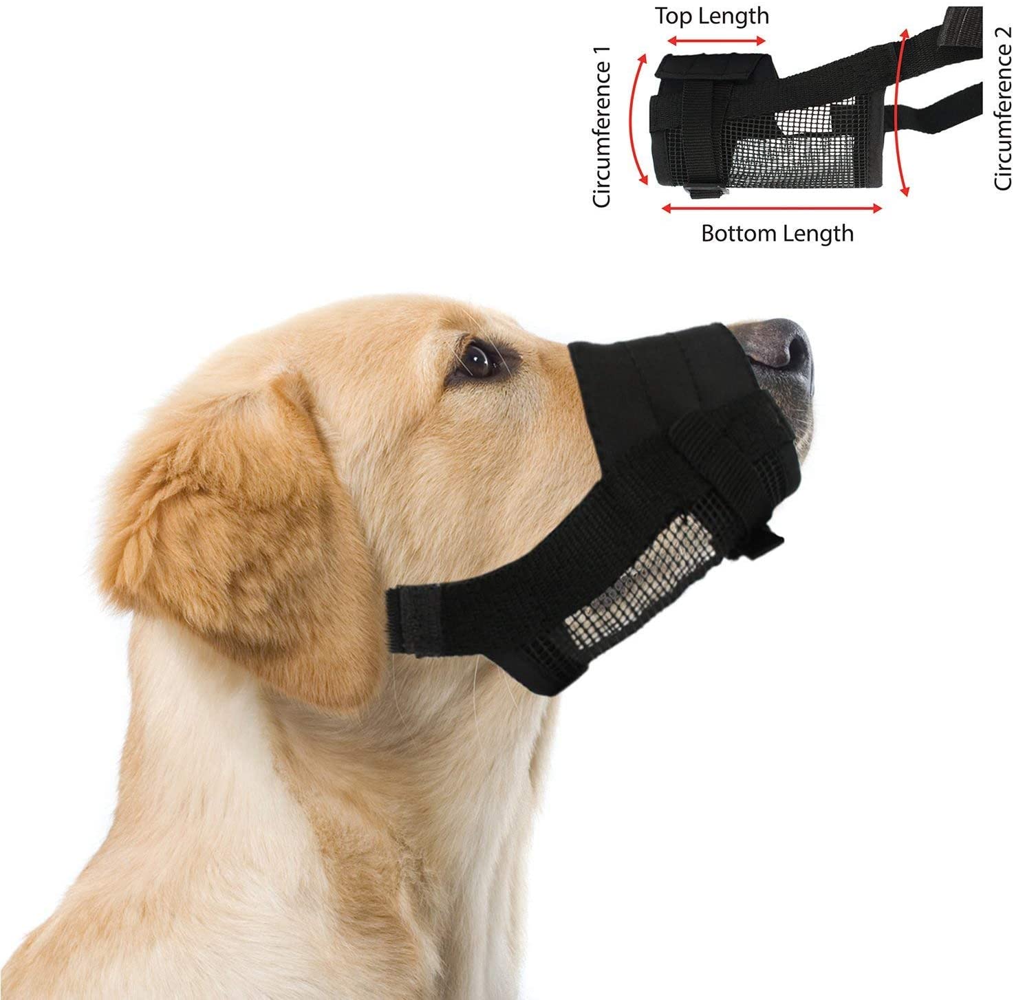  Galaxer Cane Muso Morbido Materiale in Nylon Cane Bocca Scatola Prevenire Anti Mordere, Abbaiare e Masticare con Loop Regolabile 