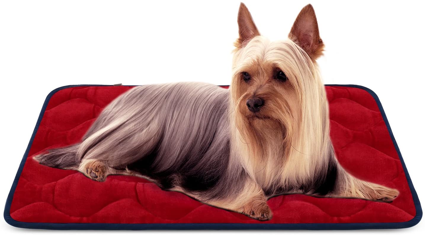  Hero Dog Cama Colchoneta Perro Pequeña Lavable, Cojines para Mascotas Antideslizante Vellón Almohadilla Suave 70x50 cm (Rojo S) 