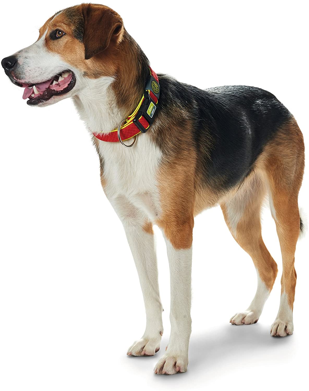 HUNTER Maui Vario Plus - Collar de Malla (33-50 cm), Color Rojo 