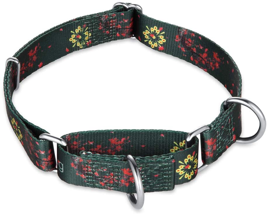  Hyhug Cuello de martingala Mejorado para adiestramiento para Caminar en Perros medianos - Etiquetas y Accesorios de identificación con Doble Anillo de sujeción (Medio M, Verde Ciruelo Flor) 