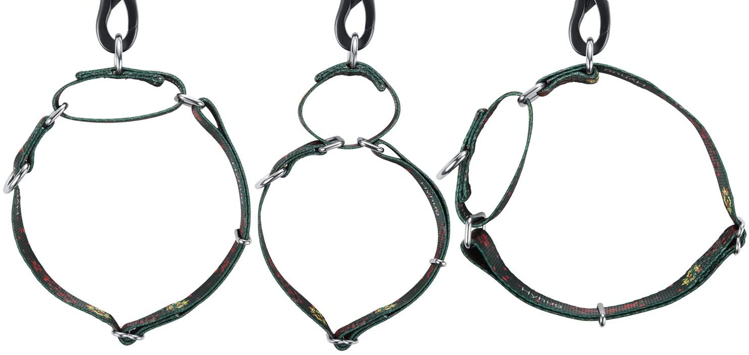  Hyhug Cuello de martingala Mejorado para adiestramiento para Caminar en Perros medianos - Etiquetas y Accesorios de identificación con Doble Anillo de sujeción (Medio M, Verde Ciruelo Flor) 