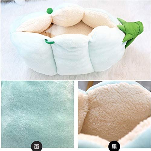  NOSJSJSOFJ DFSFS Cats House Warm Coral Fleece Mascotas Cama para Gatos Perros pequeños Nido Guisante Almohadilla para Dormir Invierno Lavable Interior Kitten Mats Productos 