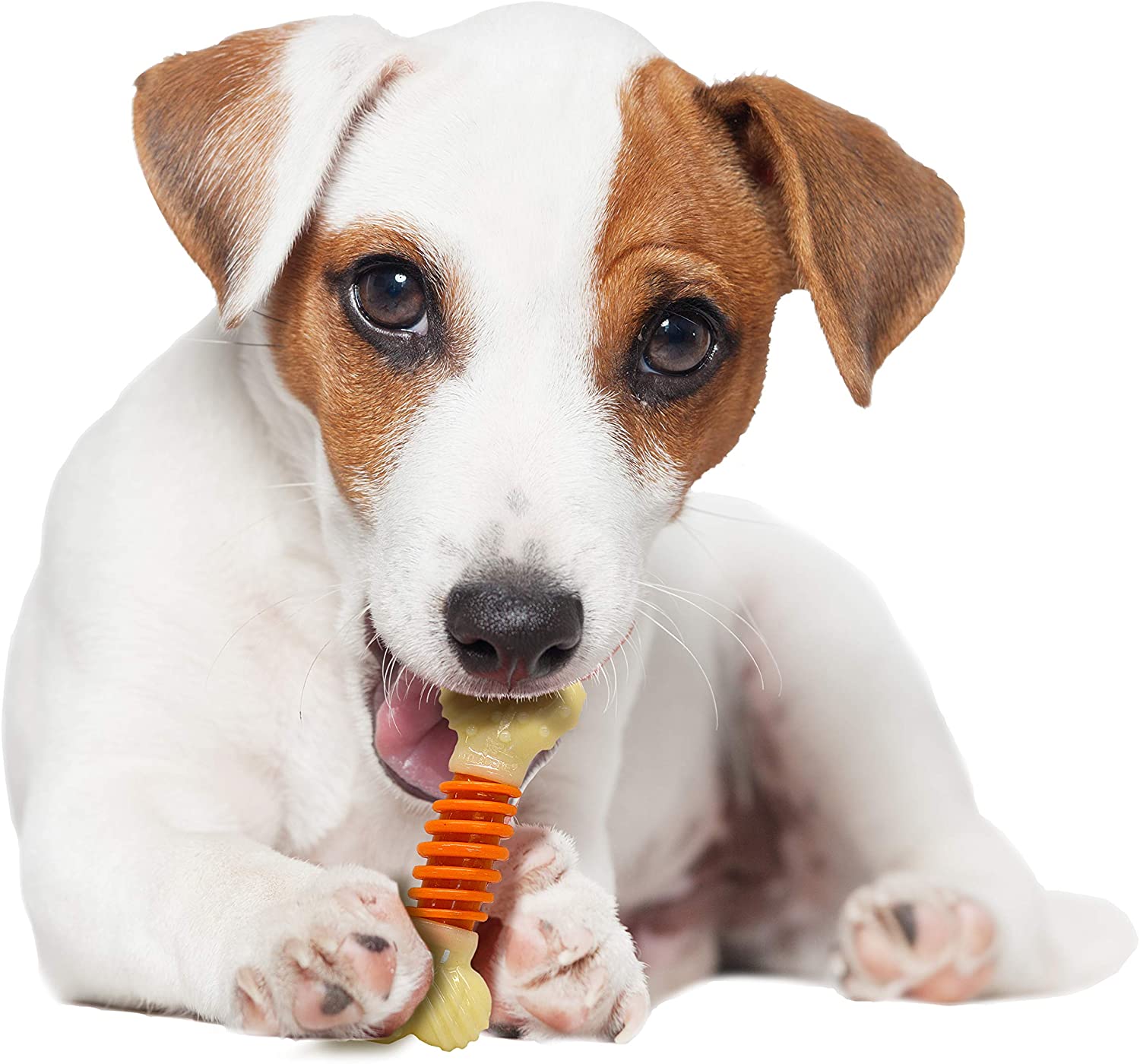  Nylabone Pro-Action Dental Chew, pequeño 