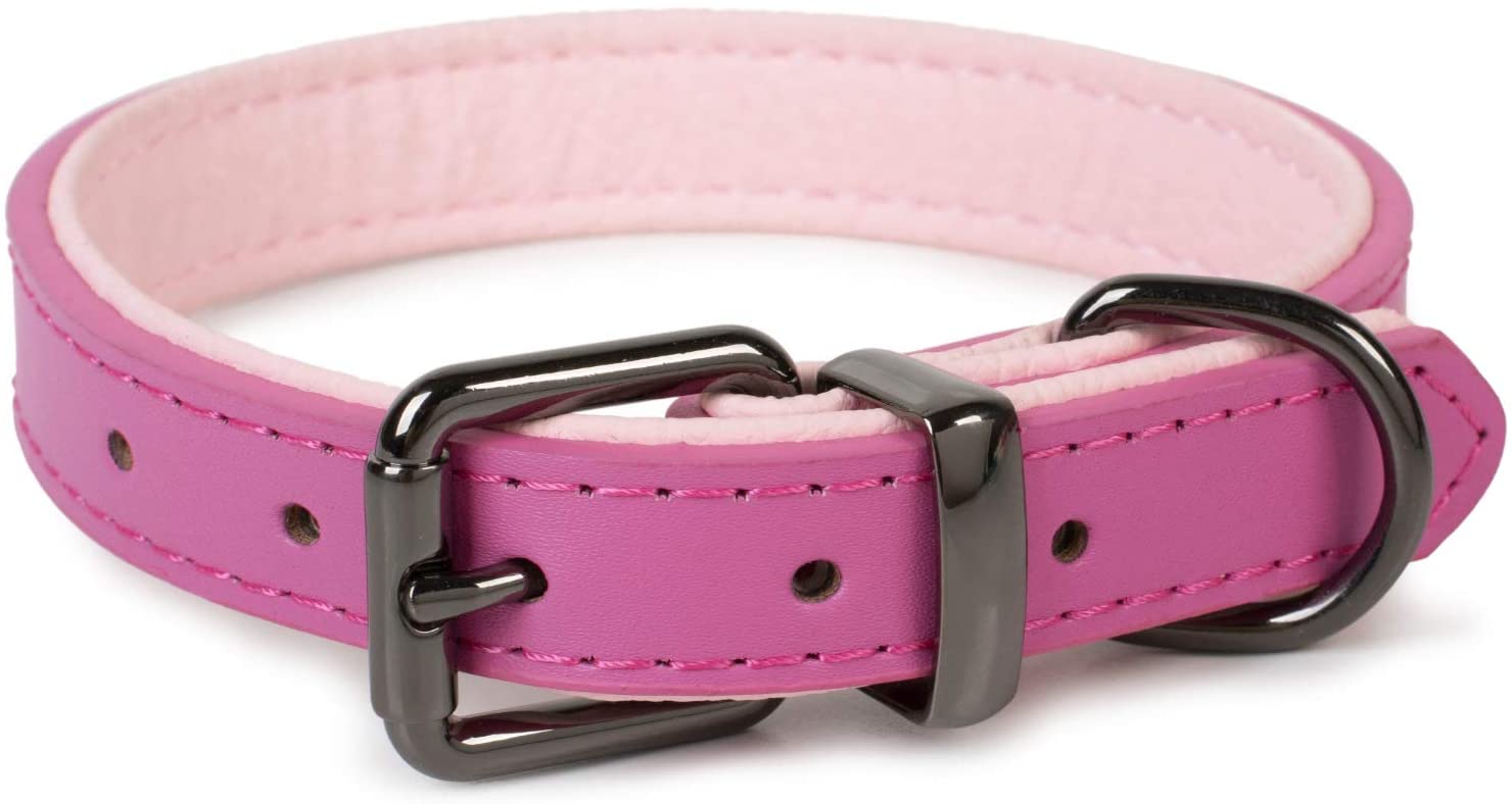  Puccybell Collar para Perros 2 Coloreado con Cuero, Collar clásico en Colores Contrastantes para Perros pequeños, medianos y Grandes HB004 (M, Rosa) 