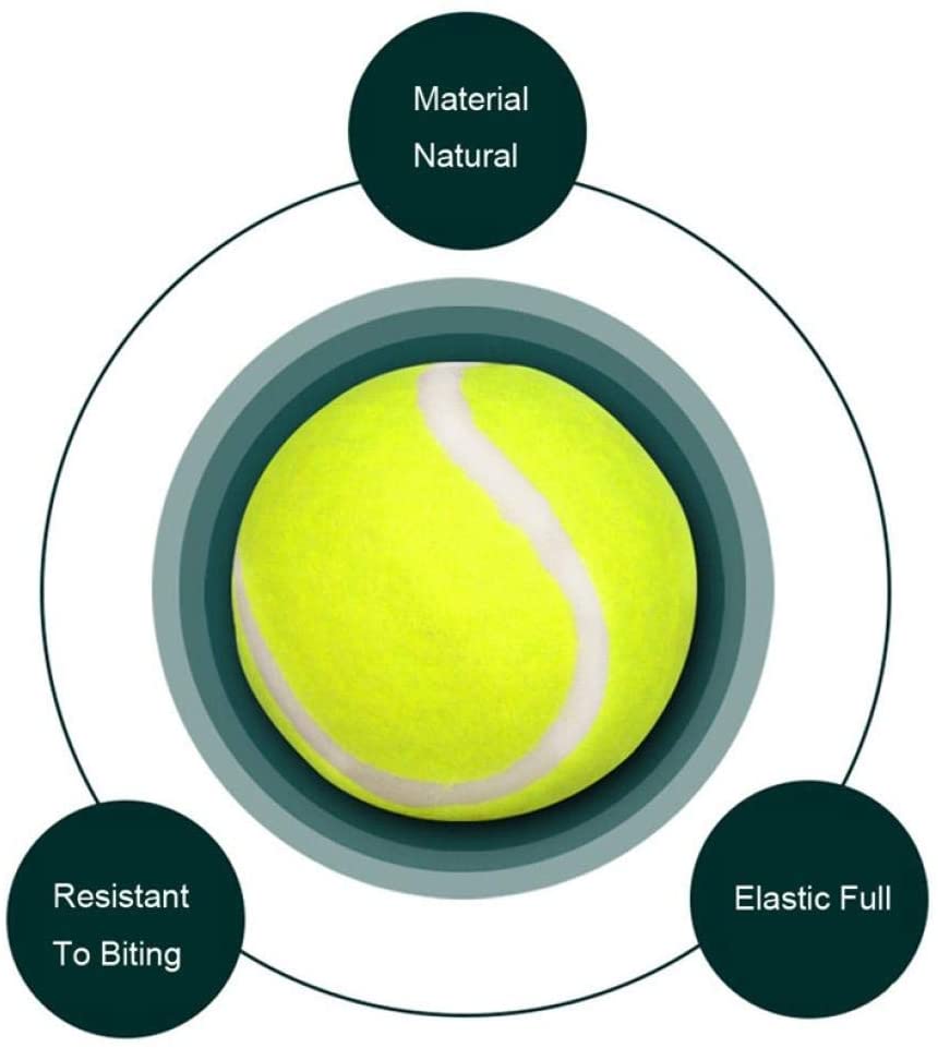  QWERASD Transer Pet Supply Dog Toy Pelota de Tenis Pet Dog Chew Juguetes interactivos para la diversión al Aire Libre Entrenamiento Playa Deportes Mascotas Juguetes 