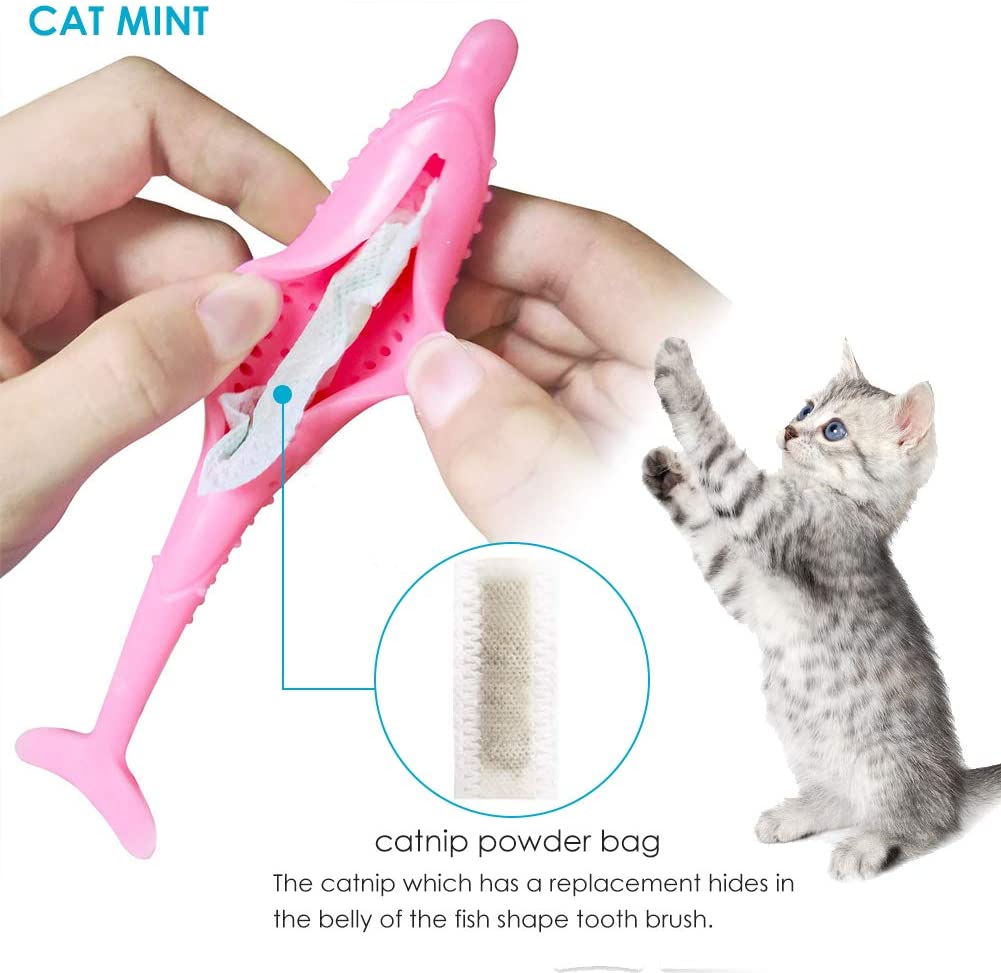  SEGMINISMART Cepillo de Dientes del Gato de Juguete, Interactivo Hierba gatera Juguete, Dientes limpios y Eliminar el Mal Aliento Bite Resistente La masticación de Juguetes 