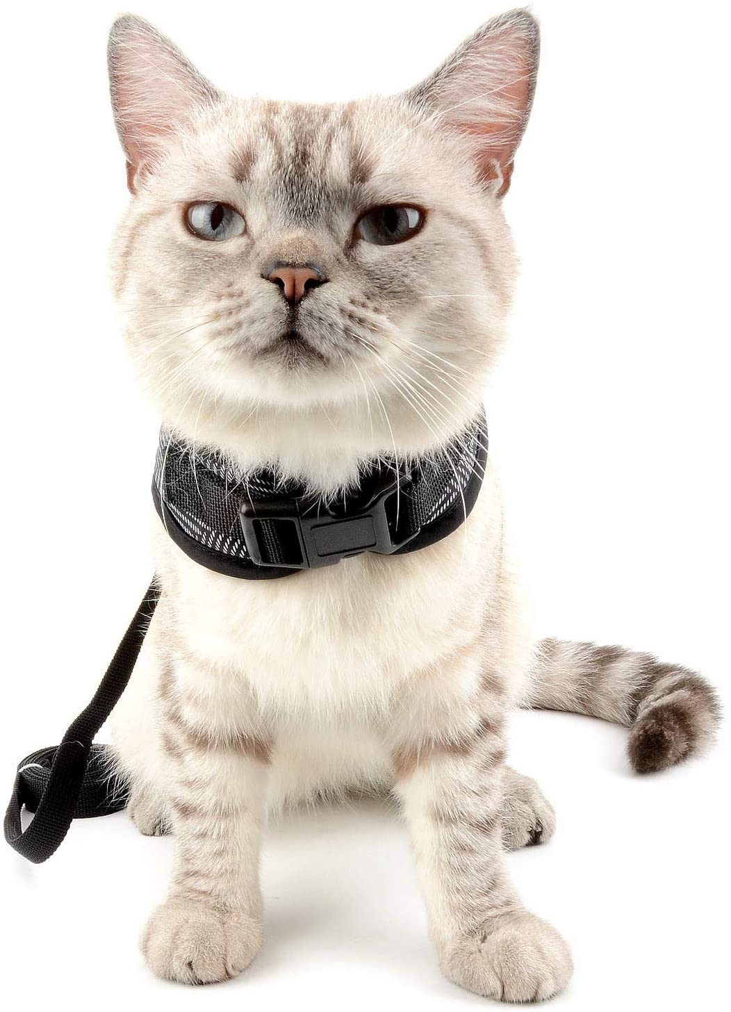  SELMAI Arnés Gato Pequeño con Correa Patrón de Trigo Acolchado Arneses para Perros Antiescape Antifugas Adjustable Arneses Tipo Chaleco Cachorros Niño niña Correa para Gatito Yorkshire Caminar Gris M 