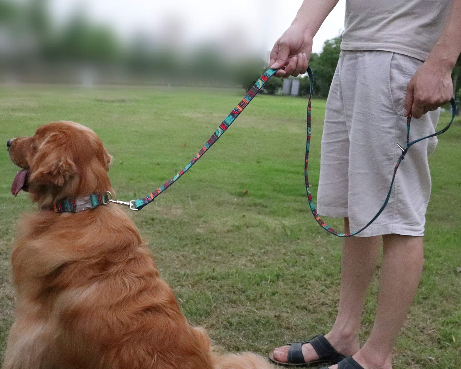  TagME Correa Perro Grande,Correa de Entrenamiento del Perro,Patrón de Moda,1.5M Verde Oscuro 