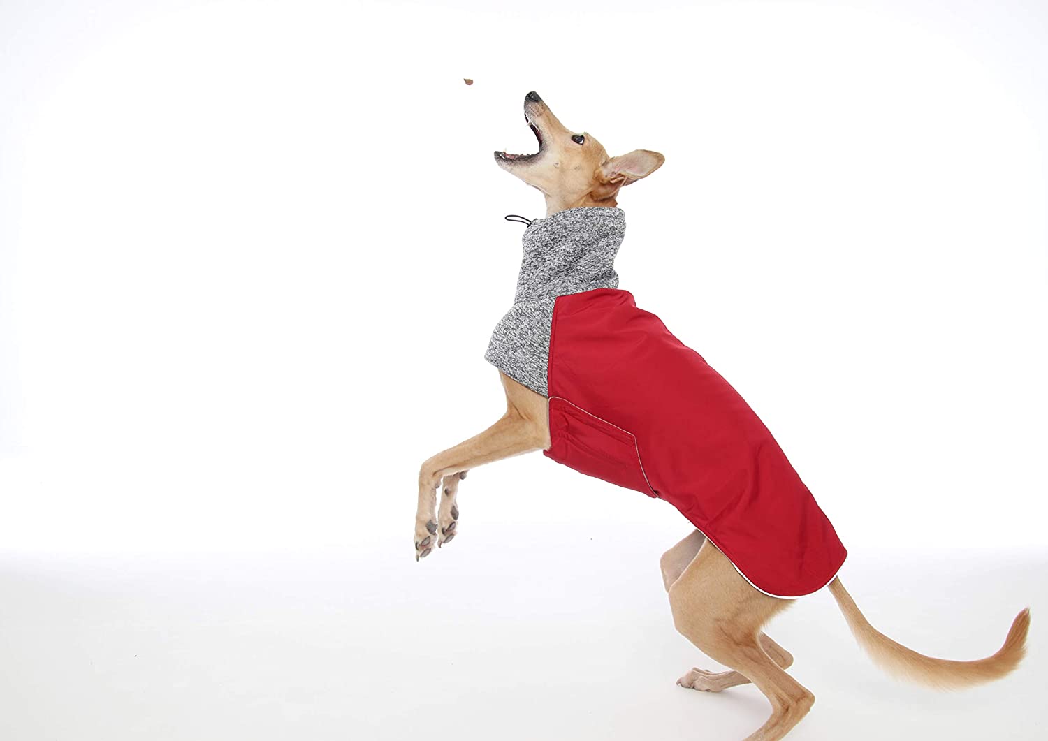  The Trendy Whippet Abrigo de Forro Polar para Todo Tipo de Clima, Color Rojo y Gris Oscuro, diseño de Galgo, Lurcher, Saluki, Sighthound 