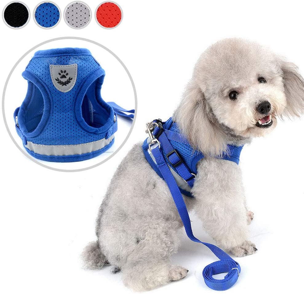  Zunea - Arnés para perro pequeño o gato, sin tirones, de malla suave, acolchado, arnés con correa reflectante y logotipo, correa ajustable para cachorro, para entrenamiento diario de caminar y correr 