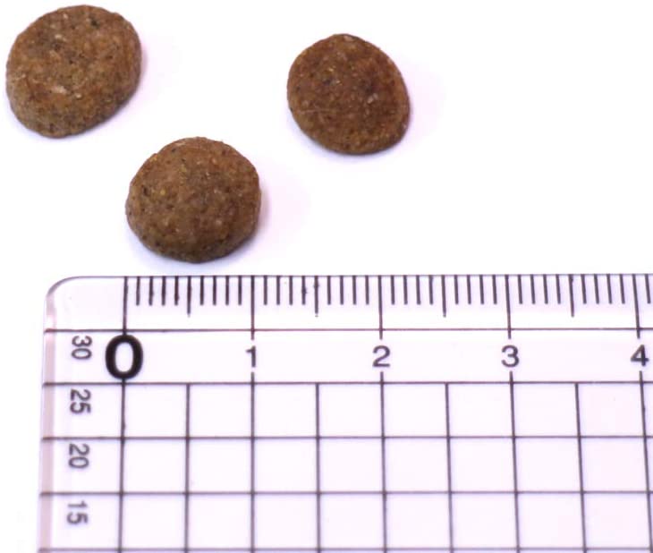  Animonda Integra Protect Intestinal trockenfutter de Perros, Dietas Perros Forro, trockenfutter en diarrea o Vómitos 