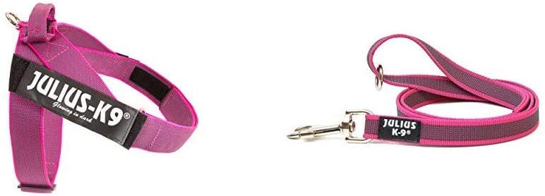  Arnés para cinturón de seguridad JULIUS-K9 y Correa para Perro, con Mango y Junta Tórica - color rosa - talla: 2 