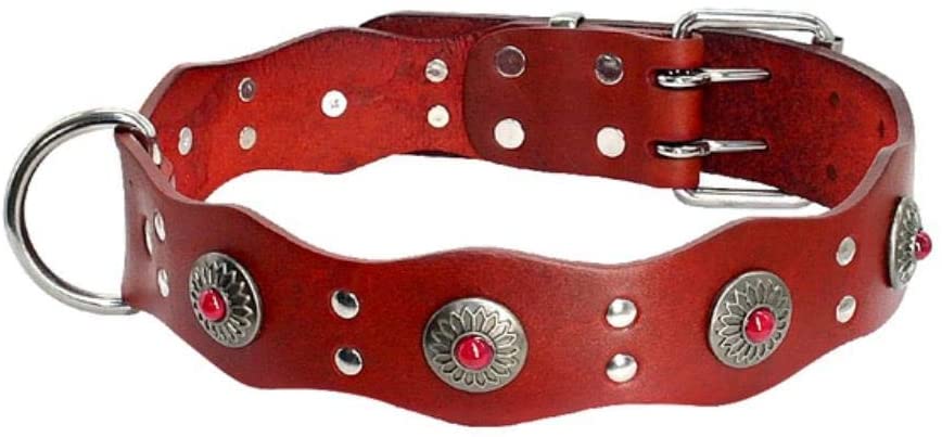  Collar de perro ajustable Collar de perro genuino para perros grandes Collares de pastor alemán para mascotas Accesorios para camafeo para perros medianos grandes Pit bull Rottweiler, negro, L 