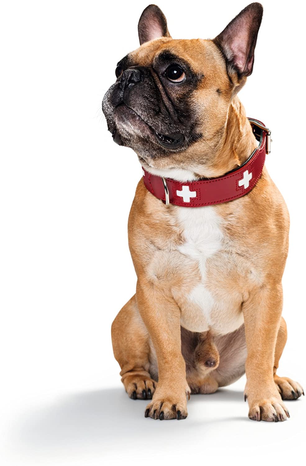  Collar de perro HUNTER Suiza, cuero, 42, rojo / negro 