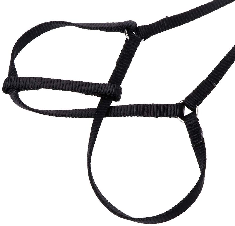  Fuwahahah Arnés para mascotas, pequeño, para perros, pájaros, periquitos, correa ajustable al aire libre, cuerda de entrenamiento, banda cruzada voladora, suave y colorida, productos azul 