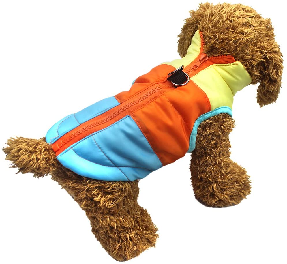  Idepet Mascota Perro Gato Escudo con Correa Ancla Color Patchwork Acolchado Cachorro Chaleco Teddy Chaqueta Chihuahua Disfraces Pug Ropa XS S M L (XS, Azul) 