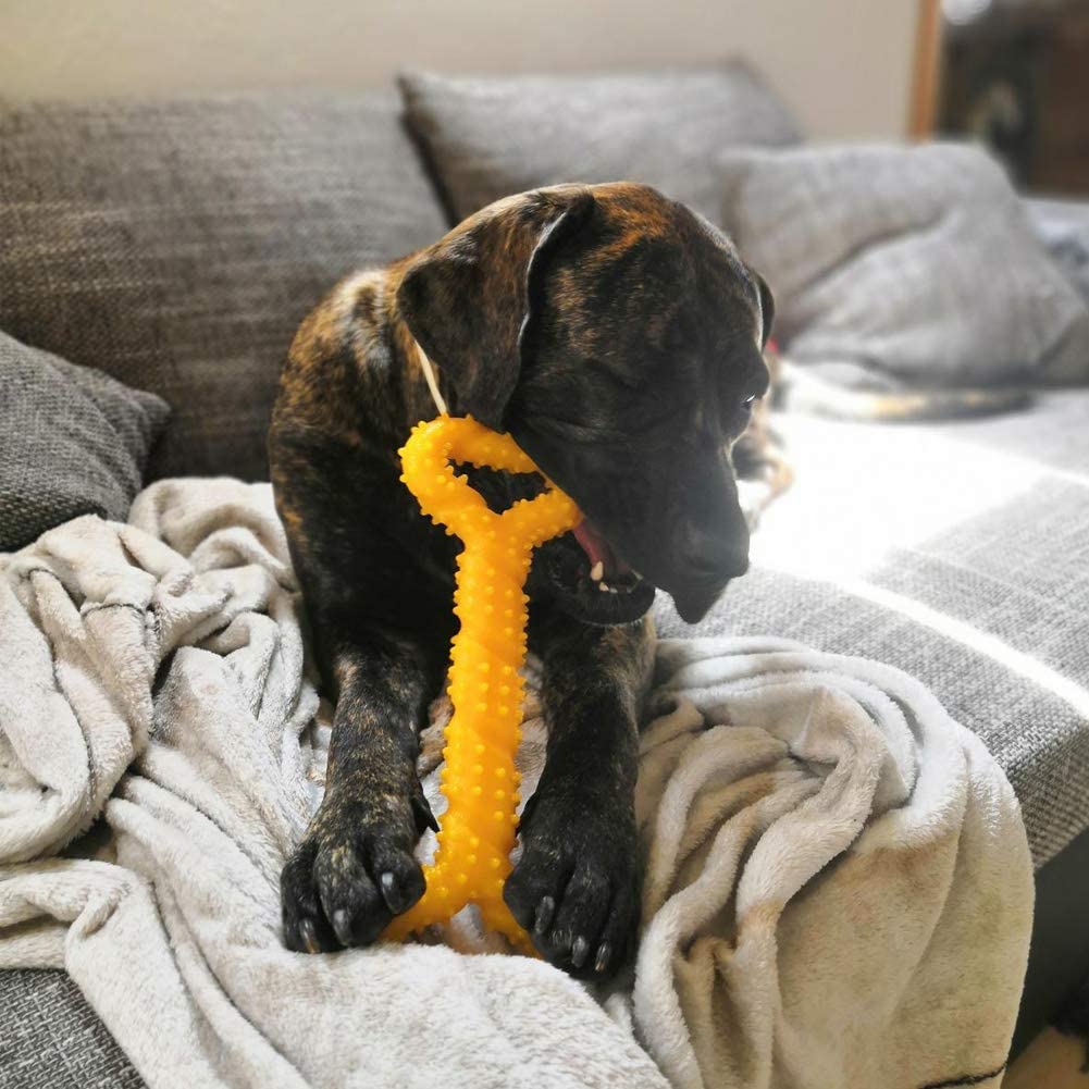  LANYUKEJI Duros Juguetes morder para Perros, 13 Pulgada Goma Juguete Forma de Hueso con Superficie Convexa Resistente Juguetes interactivos para Cachorro de Perros pequeños medianos y Grandes 