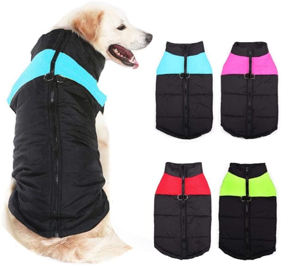  LVWENJUN A prueba de agua for mascotas Perro de perrito de la chaqueta del chaleco ropa de invierno ropa for perros de la capa for Pequeñas Grandes perros Golden Retriever ( Color : Green , Size : M ) 