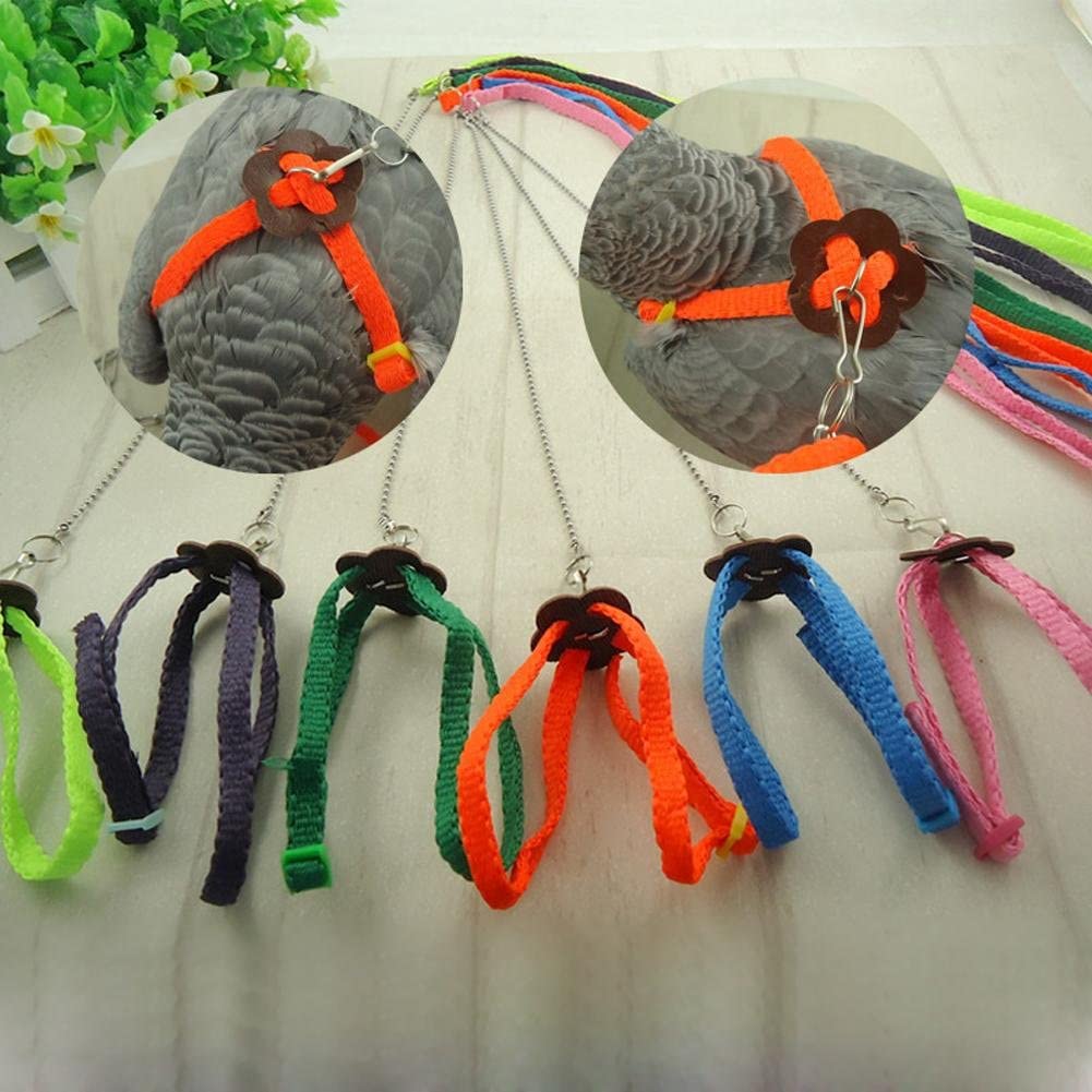  Macrorun. Arnés ajustable para cotorras y correa antipicotazos multicolor, ligero y suave 