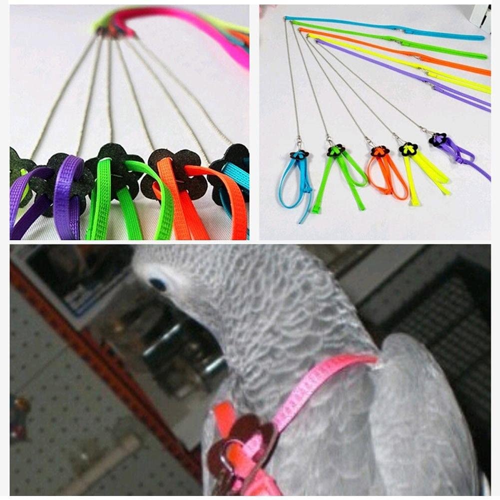  Macrorun. Arnés ajustable para cotorras y correa antipicotazos multicolor, ligero y suave 