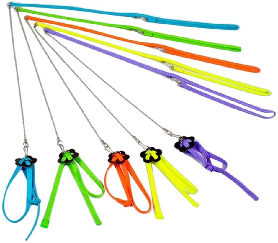  Macrorun. Arnés ajustable para cotorras y correa antipicotazos multicolor, ligero y suave 