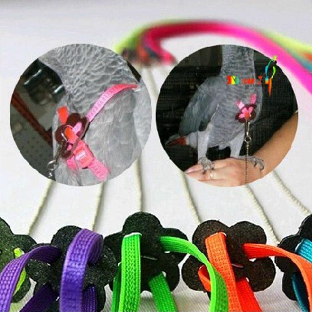  Macrorun. Arnés ajustable para cotorras y correa antipicotazos multicolor, ligero y suave 
