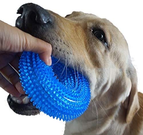  S/XL Squeak Chew Mascotas Juguetes for Perros Golden Retriever Grande Formación Divertido Chew Thorn Anillo del círculo Perro pequeños Juguetes del Sonido Interactivo (Color : Green, Size : XL) 