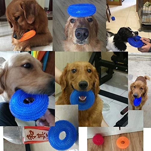  S/XL Squeak Chew Mascotas Juguetes for Perros Golden Retriever Grande Formación Divertido Chew Thorn Anillo del círculo Perro pequeños Juguetes del Sonido Interactivo (Color : Green, Size : XL) 
