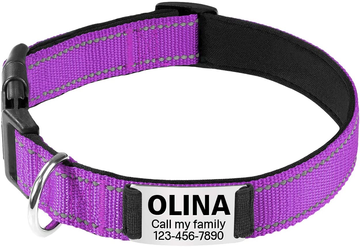  TagME Collar de Perro Reflectante Personalizado,Placa de Acero Inoxidable,Grabado con Nombre y Número de Teléfono,Deslizar en Las Etiquetas de Identificación del Perro,Púrpura 