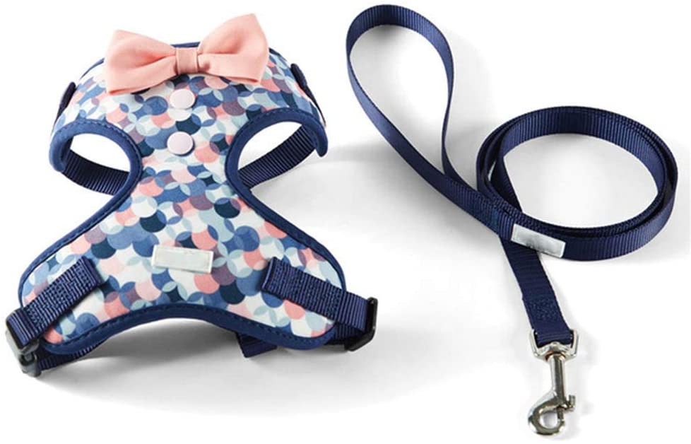  XYBB Arnes Perro Juego De Correa De Arnés para Chihuahua Pitbull Perros Cachorro Arnés Chaleco Pitbull Productos para Mascotas XS Azul 