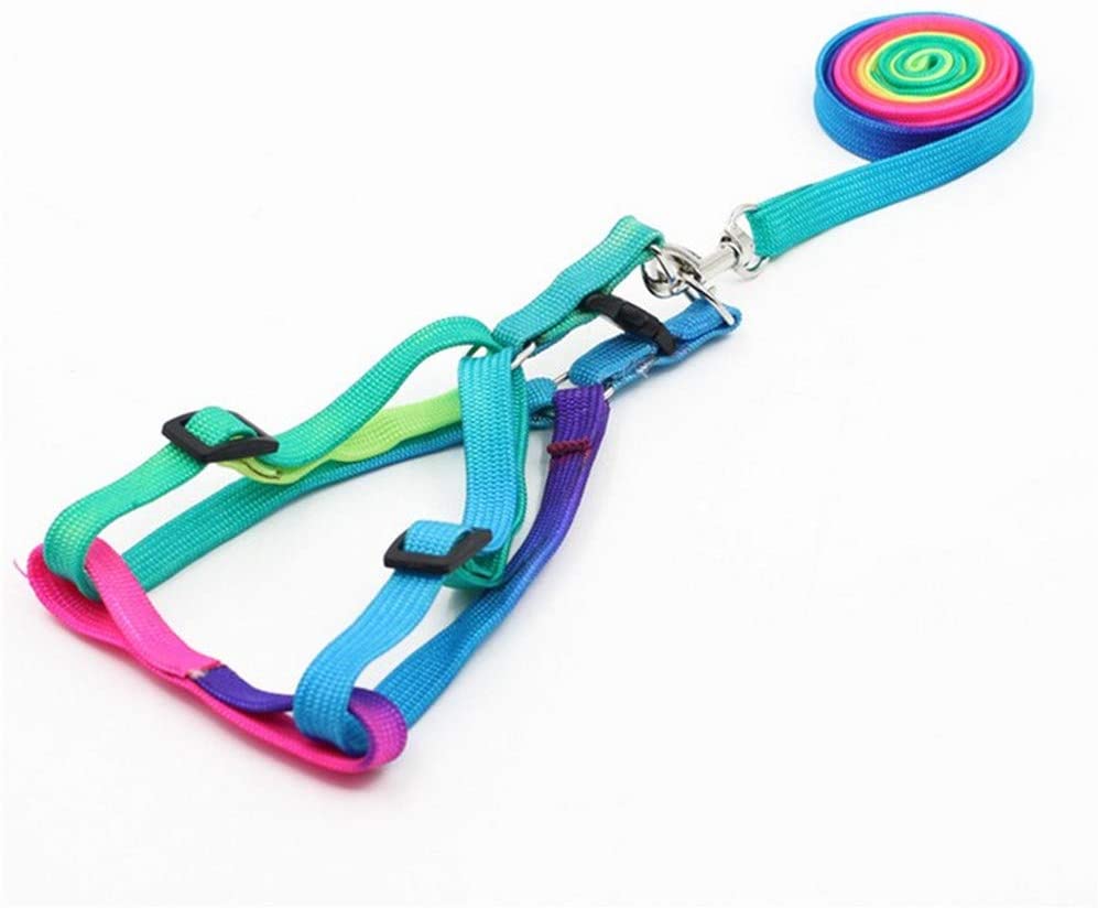  XYBB Arnes Perro Mascota Perro Correa Correa Arnés Nylon Arco Iris Pequeño Cachorro Gatito Correa Correa Caminar Fuera Correa De Mano Chaleco Collar para Gato Conejo Tamaño Libre Colorido 