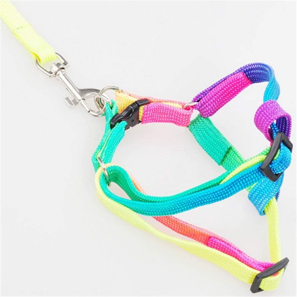  XYBB Arnes Perro Mascota Perro Correa Correa Arnés Nylon Arco Iris Pequeño Cachorro Gatito Correa Correa Caminar Fuera Correa De Mano Chaleco Collar para Gato Conejo Tamaño Libre Colorido 