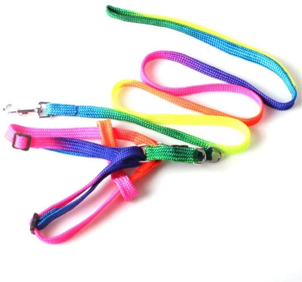  XYBB Arnes Perro Mascota Perro Correa Correa Arnés Nylon Arco Iris Pequeño Cachorro Gatito Correa Correa Caminar Fuera Correa De Mano Chaleco Collar para Gato Conejo Tamaño Libre Colorido 