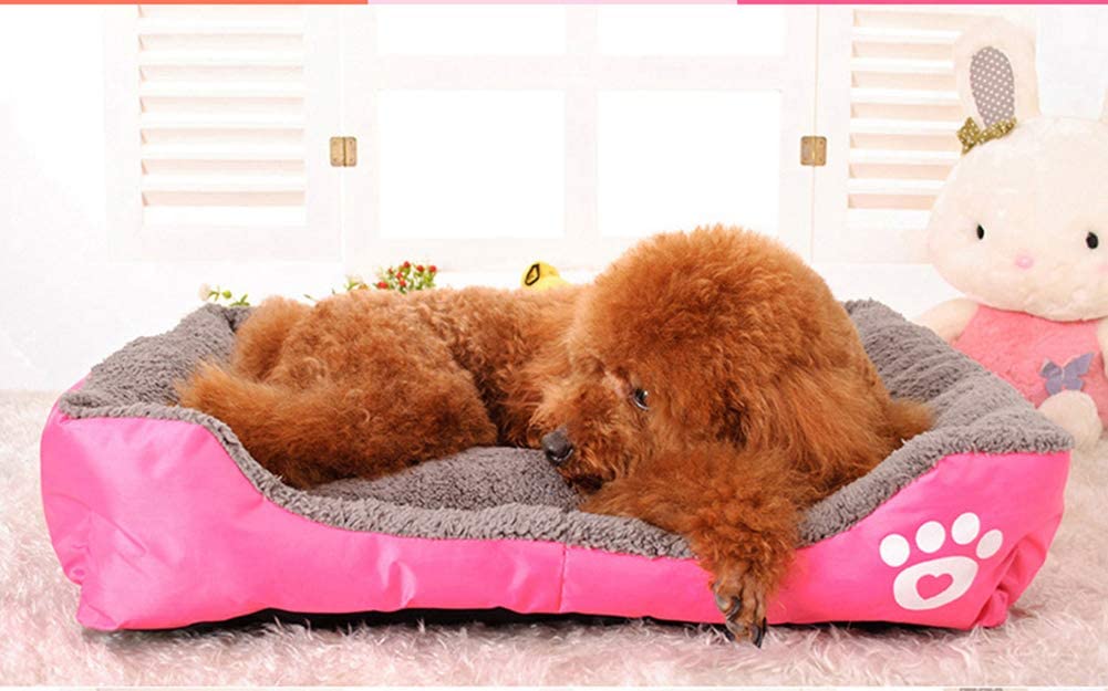 Aden Cama para Perros, Sofá para Perros, Cesta para Perro Suave Y Comodo para Gatos Perros Pequeños Y Medianos 