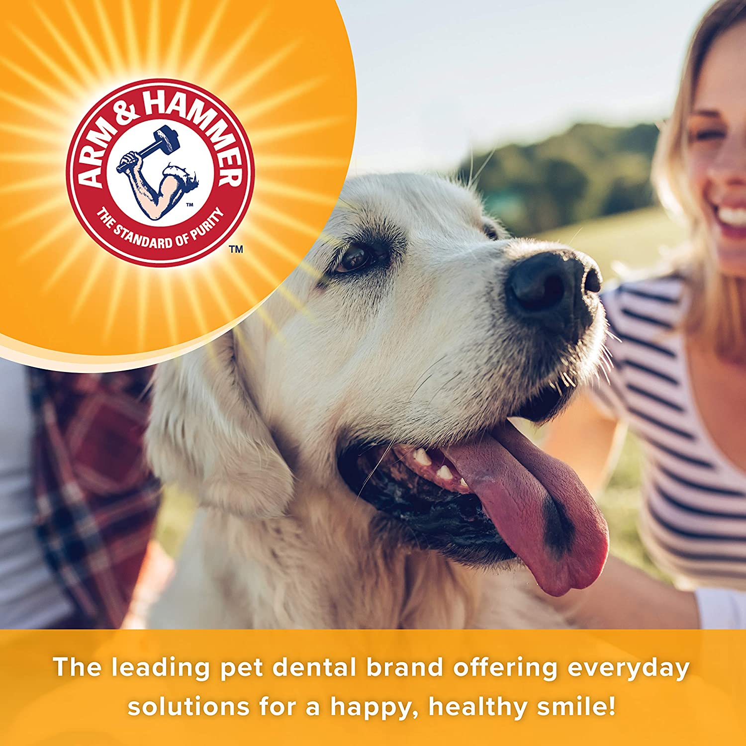  Arm & Hammer Dental Mints 