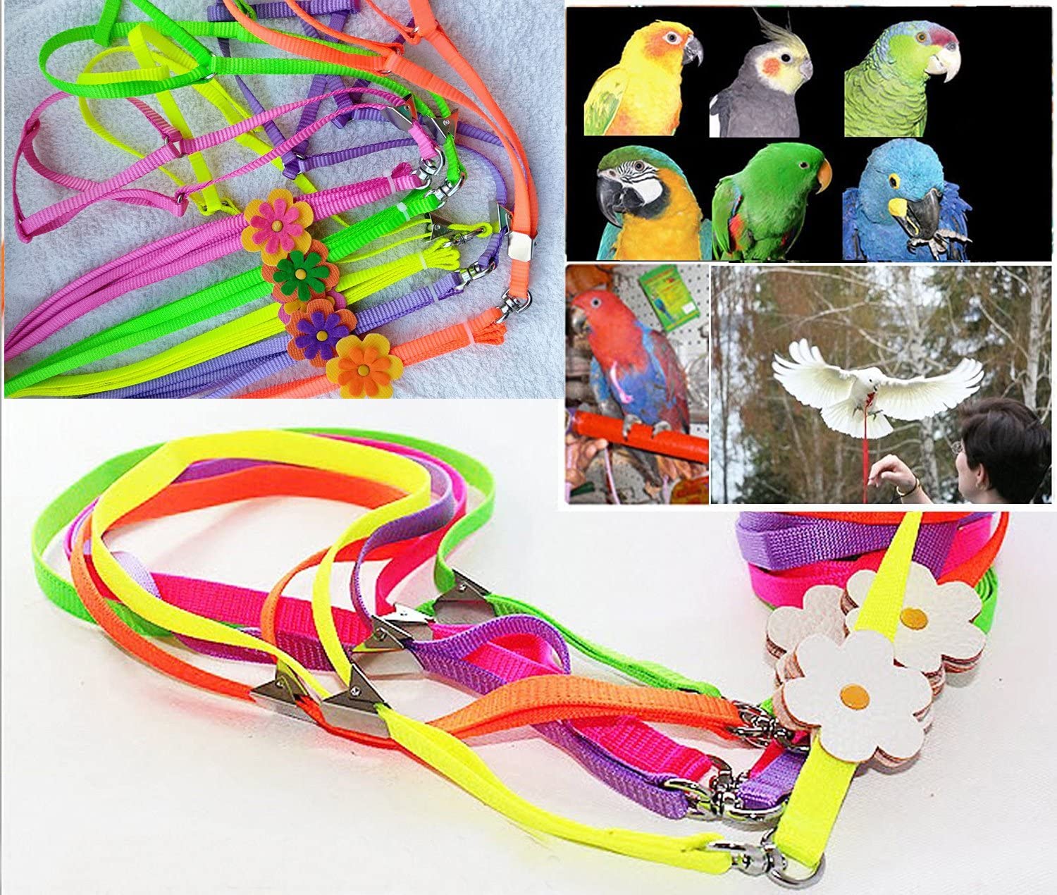  Arnés y correa ajustable antipicotazos para loros grises africanos, cacatúas, guacamayos, paloma torcaz, cotorras, pericos (1 unidad, color aleatorio) 