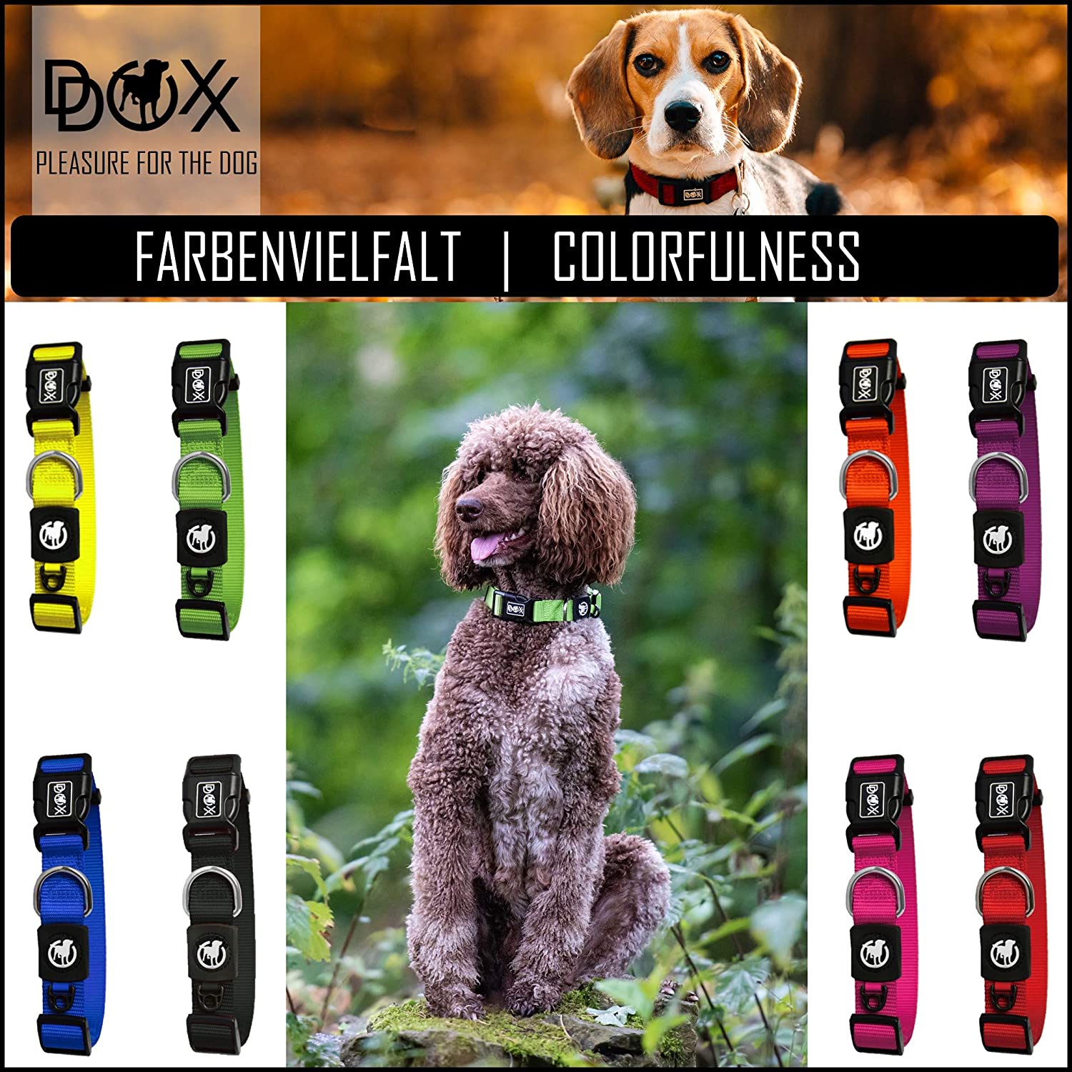  DDOXX Collar Perro Nylon, Ajustable | Diferentes Colores & Tamaños | para Perros Pequeño, Mediano y Grande | Collares Accesorios Gato Cachorro | Rosado Pink, S 