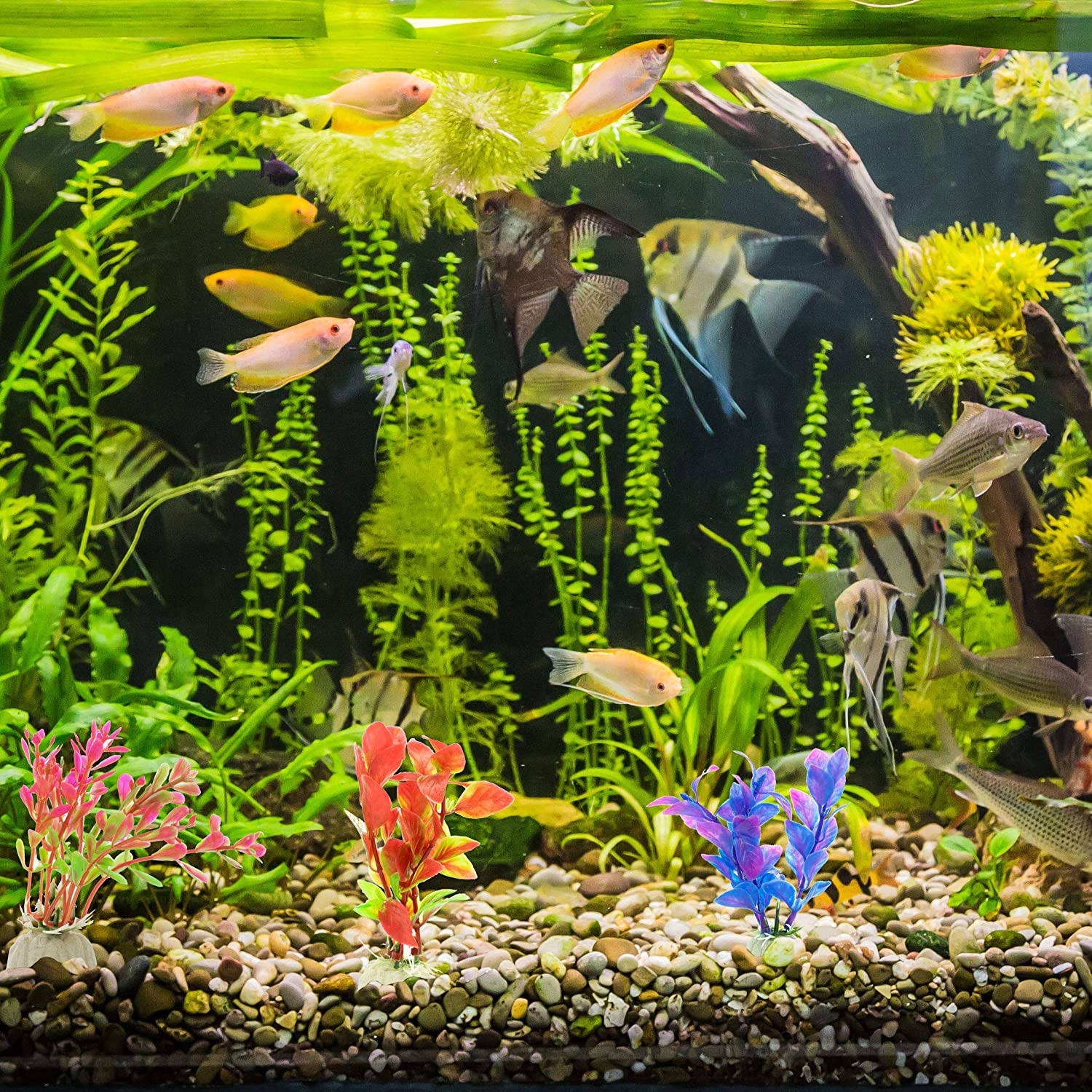  DIGIFLEX 10 x Plantas Artificiales Mezcladas de Plástico para Acuario 