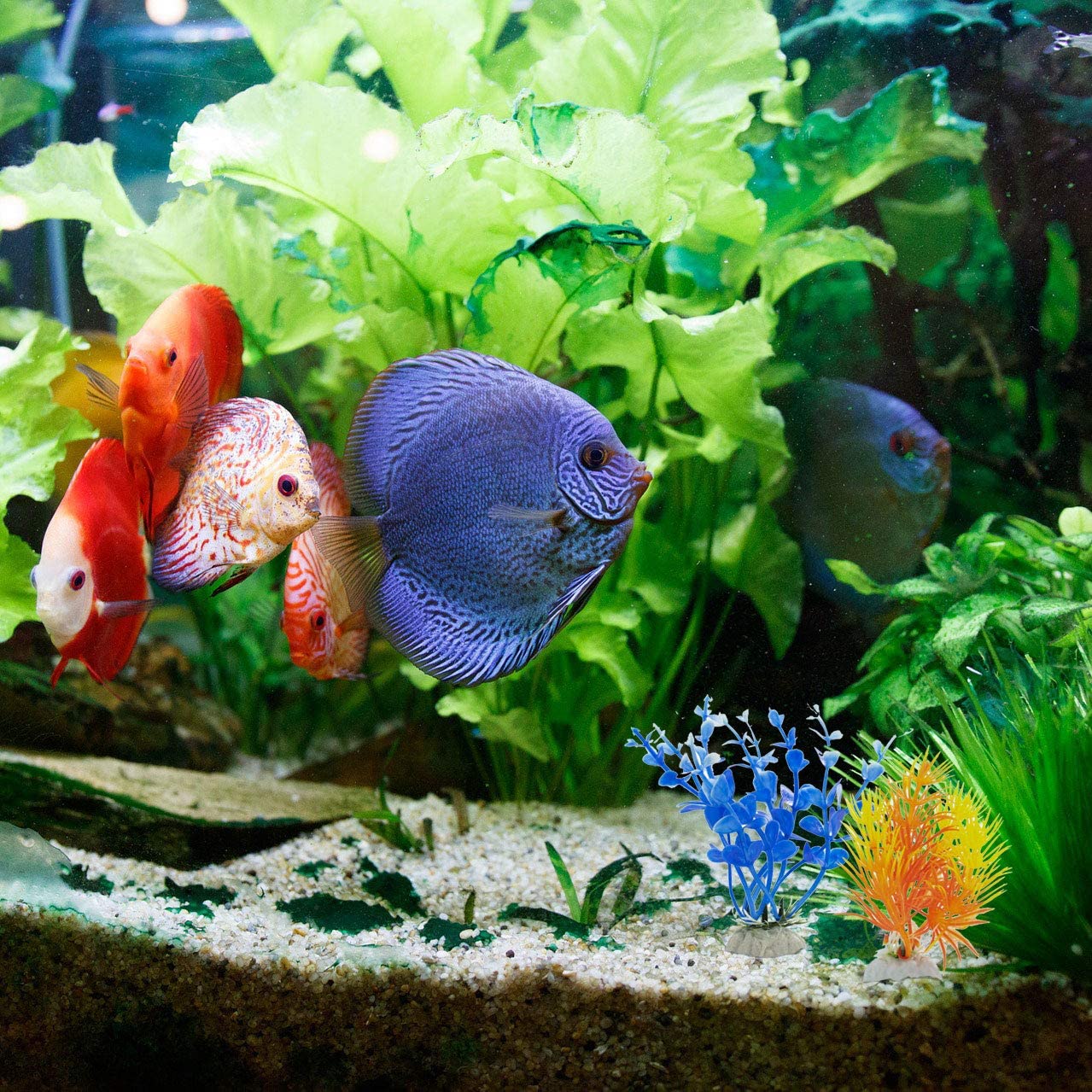 DIGIFLEX 10 x Plantas Artificiales Mezcladas de Plástico para Acuario 
